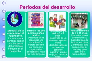 CARACTERÍSTICASLos maestros son sensitivos al mundo del estudiante, no sólo al mundo de adulto. Los estudiantes se ven como individuos con diversidad de necesidades, habilidades y aptitudes.  El autoconcepto y autoestima del aprendiz son factores esenciales en el aprendizaje. El aprendizaje se considera holístico no sólo cognoscitivo, el acto de aprender involucra emociones, sentimientos y destrezas motoras. 