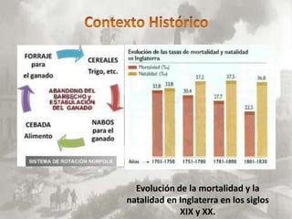 Evolución de la mortalidad y la
natalidad en Inglaterra en los siglos
             XIX y XX.
 