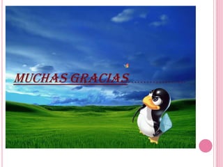 MUCHAS GRACIAS……………….
 