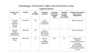 Nombre de la
finca
Periodo Total
hectáreas
Contratos
(ingenio)
Toneladas
de caña por
hectárea
(TCH)
Toneladas
de caña
hectárea
mes (TCHM)
Prácticas de transición
Convencional -
Regenerativa
Hacienda
Tinajas
Inversiones
Guzman
Barney
1975-2005 120 100%
participación
(La Cabana)
100% convencional
Hacienda
Tinajas
Agropecuaria
Matarredonda
2005-2020 120 75%
participación
15% en mata
(La Cabana)
100% convencional
Hacienda
Tinajas
2021-2025 30 100% en
mata
(La Cabana y
Manuelita)
120.7 8.6 Cero quemas
Pollinaza
Reducción de insumos
químicos
Control biológico
Microorganismos
Reducción de consumo
de agua
Estrategia. Transición caña convencional a cana
regenerativa
 