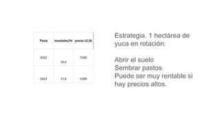 Yuca toneladas/ht precio 12,5k
2022
16,6
7200
2023 17,4 5200
Estrategia. 1 hectárea de
yuca en rotación:
Abrir el suelo
Sembrar pastos
Puede ser muy rentable si
hay precios altos.
 