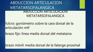 ABDUCCION ARTICULACION
METATARSOFALANGICA
ABDUCCION ARTICULACION
METATARSOFALANGICA
fulcro: goniómetro sobre la cara dorsal de la
articulación mtf
brazo fijo: línea media dorsal del metatarso
brazo móvil: media dorsal de la falange proximal
 