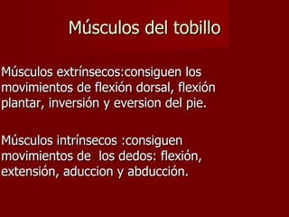 Músculos del tobillo Músculos extrínsecos:consiguen los movimientos de flexión dorsal, flexión plantar, inversión y eversion del pie.  Músculos intrínsecos :consiguen movimientos de  los dedos: flexión, extensión, aduccion y abducción. 