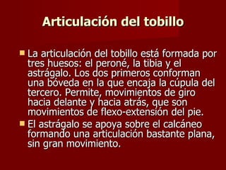Articulación del tobillo La articulación del tobillo está formada por tres huesos: el peroné, la tibia y el astrágalo. Los dos primeros conforman una bóveda en la que encaja la cúpula del tercero. Permite, movimientos de giro hacia delante y hacia atrás, que son movimientos de flexo-extensión del pie.  El astrágalo se apoya sobre el calcáneo formando una articulación bastante plana, sin gran movimiento.  