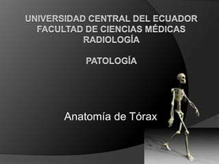Anatomía de Tórax
 