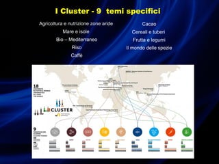 Agricoltura e nutrizione zone aride
Mare e isole
Bio – Mediterraneo
Riso
Caffè
Cacao
Cereali e tuberi
Frutta e legumi
Il mondo delle spezie
I Cluster - 9 temi specifici
 