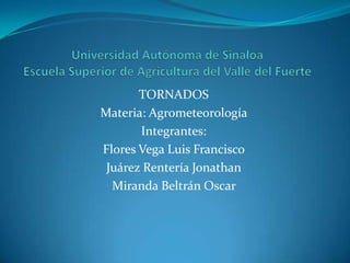 TORNADOS
Materia: Agrometeorología
       Integrantes:
Flores Vega Luis Francisco
 Juárez Rentería Jonathan
  Miranda Beltrán Oscar
 