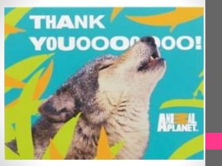 Total physical response