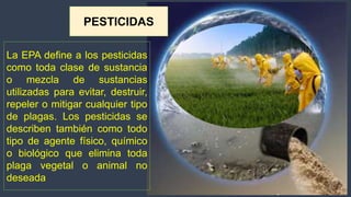 Expo toxixidad ambiental