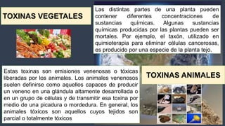Expo toxixidad ambiental