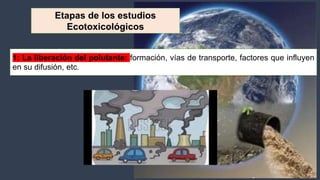 Expo toxixidad ambiental