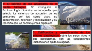 Expo toxixidad ambiental