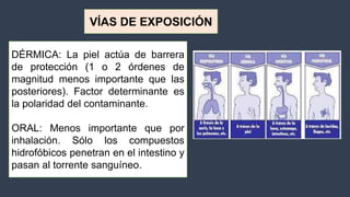 Expo toxixidad ambiental