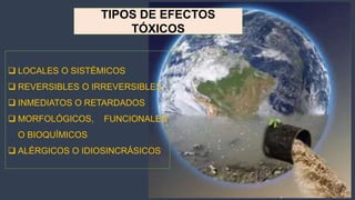 Expo toxixidad ambiental