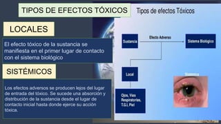 Expo toxixidad ambiental