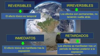 Expo toxixidad ambiental