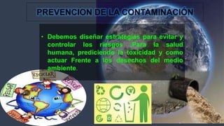 Expo toxixidad ambiental