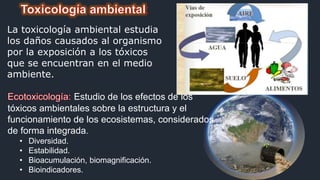 Expo toxixidad ambiental