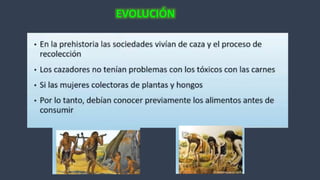 Expo toxixidad ambiental