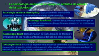 Expo toxixidad ambiental