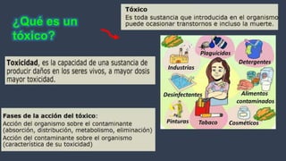 Expo toxixidad ambiental