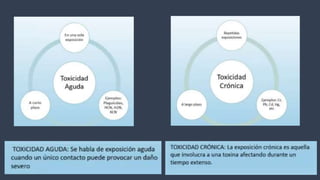 Expo toxixidad ambiental