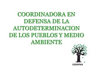 COORDINADORA EN
DEFENSA DE LA
AUTODETERMINACION
DE LOS PUEBLOS Y MEDIO
AMBIENTE
CODAPMA
 