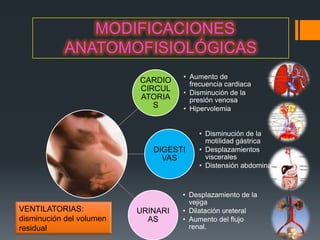 MODIFICACIONES
           ANATOMOFISIOLÓGICAS
                                    • Aumento de
                          CARDIO      frecuencia cardiaca
                          CIRCUL    • Disminución de la
                          ATORIA      presión venosa
                             S      • Hipervolemia


                                        • Disminución de la
                                          motilidad gástrica
                             DIGESTI    • Desplazamientos
                               VAS        viscerales
                                        • Distensión abdominal



                                    • Desplazamiento de la
                                      vejiga
VENTILATORIAS:            URINARI   • Dilatación ureteral
disminución del volumen     AS      • Aumento del flujo
residual                              renal.
 