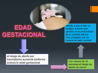 debido a que el feto se
                               localiza durante este
                               periodo en la profundidad
                               de la cavidad pélvica
                               muy protegido por los
                               huesos de esta cavidad.




el riesgo de aborto por
traumatismo aumenta conforme
                                 Con menos de 16
avanza la edad gestacional
                                 semanas el riesgo de
                                 aborto es menor
 