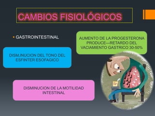 CAMBIOS FISIOLÓGICOS

  GASTROINTESTINAL           AUMENTO DE LA PROGESTERONA
                                 PRODUCE—RETARDO DEL
                               VACIAMIENTO GASTRICO 30-50%

DISM,INUCION DEL TONO DEL
   ESFINTER ESOFAGICO




      DISMINUCION DE LA MOTILIDAD
              INTESTINAL
 