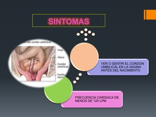 SINTOMAS




                  VER O SENTIR EL CORDON
                  UMBILICAL EN LA VAGINA
                  ANTES DEL NACIMIENTO




     FRECUENCIA CARDIACA DE
     MENOS DE 120 LPM
 