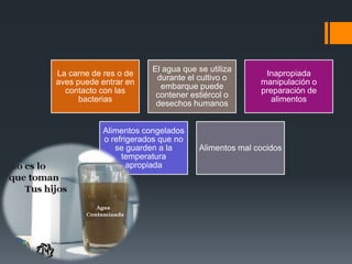El agua que se utiliza
La carne de res o de                               Inapropiada
                        durante el cultivo o
aves puede entrar en                              manipulación o
                         embarque puede
  contacto con las                                preparación de
                        contener estiércol o
      bacterias                                      alimentos
                        desechos humanos


           Alimentos congelados
           o refrigerados que no
              se guarden a la      Alimentos mal cocidos
                temperatura
                  apropiada
 