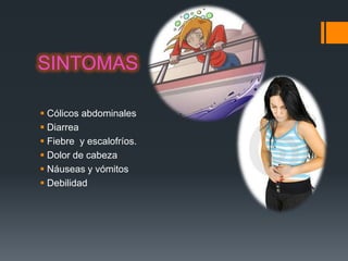 SINTOMAS

 Cólicos abdominales
 Diarrea
 Fiebre y escalofríos.
 Dolor de cabeza
 Náuseas y vómitos
 Debilidad
 