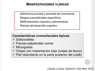 MANIFESTACIONES CLÍNICAS 
1. Deficiencia prenatal y posnatal del crecimiento 
2. Rasgos craneofaciales específicos 
3. Malformaciones mayores y psicomotoras 
4. Retraso del desarrollo cognitivo 
Características craneofaciales típicas: 
 Dolicocefalia 
 Fisuras palpebrales cortas 
 Micrognatia 
 Orejas con implantación baja (orejas de fauno) 
 Piel redundante en la parte posterior del cuello 
Cereda y Carey, Orphanet J Dis Rare. 2012 
 