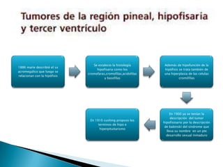 Se estalecio la histología      Además de hipofunción de la
1886 marie describió el sx
                                   hipofisaria como los          hipófisis se trata también de
acromegalico que luego se
                              cromofaras,cromofilas,acidofilas   una hiperplasia de las celulas
relacionan con la hipófisis
                                        y basofilas                        cromófilas




                                                                     En 1900 ya se tenían la
                                                                      descripción del tumor
                               En 1910 cushing propuso los
                                                                 hipofisioario por la descripción
                                    terminos de hipo e
                                                                  de babinski del sindrome que
                                     hiperpituitarismo
                                                                   lleva su nombre en un pte
                                                                   desarrollo sexual inmaduro
 