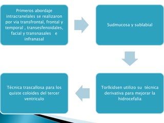 Primeros abordaje
 intracranelales se realizaron
por via transfrontal, frontal y
                                     Sudmucosa y sublabial
temporal , transesfenoidales,
    facial y transnasales e
            infranasal




Técnica trascallosa para los      Torlkidsen utilizo su técnica
 quiste coloides del tercer        derivativa para mejorar la
         ventriculo                       hidrocefalia
 