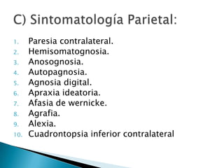 1.    Paresia contralateral.
2.    Hemisomatognosia.
3.    Anosognosia.
4.    Autopagnosia.
5.    Agnosia digital.
6.    Apraxia ideatoria.
7.    Afasia de wernicke.
8.    Agrafia.
9.    Alexia.
10.   Cuadrontopsia inferior contralateral
 