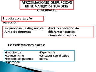 APROXIMACIONES QUIRÚRGICAS
                EN EL MANEJO DE TUMORES
                       CEREBRALES

Biopsia abierta y/o
resección
•Proporciona un diagnostico     •Facilita aplicación de
•Alivio de síntomas             diferentes terapias
                                • toma de muestras


   Consideraciones claves:

 •Estudios dx             •Experiencia
 •Conocimiento            •Cuidados con el tejido
 •Posición del paciente   normal
 •Planeación
 