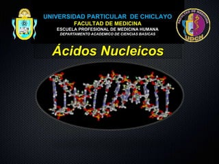 Ácidos Nucleicos
UNIVERSIDAD PARTICULAR DE CHICLAYO
FACULTAD DE MEDICINA
ESCUELA PROFESIONAL DE MEDICINA HUMANA
DEPARTAMENTO ACADEMICO DE CIENCIAS BASICAS
 