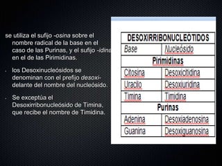 se utiliza el sufijo -osina sobre el
nombre radical de la base en el
caso de las Purinas, y el sufijo -idina
en el de las Pirimidinas.
• los Desoxinucleósidos se
denominan con el prefijo desoxi-
delante del nombre del nucleósido.
• Se exceptúa el
Desoxirribonucleósido de Timina,
que recibe el nombre de Timidina.
 