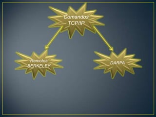 Comandos
            TCP/IP




 Remotos              DARPA
BERKELEY
 