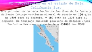 Los yacimientos de roca fosfórica San Juan de la Costa y
de Santo Domingo contienen mineral de uranio en 120 g/tn
de U3O8 para el primero, y 100 g/tn de U3O8 para el
segundo. El tonelaje cubicado proviene de Rofomex (Roca
Fosforica Mexicana) y asciende a 151000 ton U3O8
 