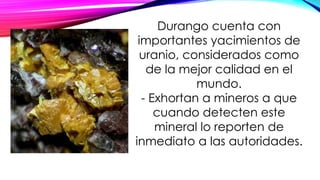 Durango cuenta con
importantes yacimientos de
uranio, considerados como
de la mejor calidad en el
mundo.
- Exhortan a mineros a que
cuando detecten este
mineral lo reporten de
inmediato a las autoridades.
 