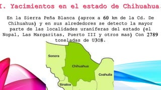 En la Sierra Peña Blanca (aprox a 60 km de la Cd. De
Chihuahua) y en sus alrededores se detecto la mayor
parte de las localidades uraníferas del estado (el
Nopal, Las Margaritas, Puerto III y otros mas) Con 2789
toneladas de U3O8.
 