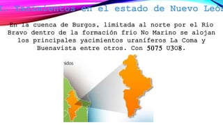 En la cuenca de Burgos, limitada al norte por el Rio
Bravo dentro de la formación frio No Marino se alojan
los principales yacimientos uraníferos La Coma y
Buenavista entre otros. Con 5075 U3O8.
 