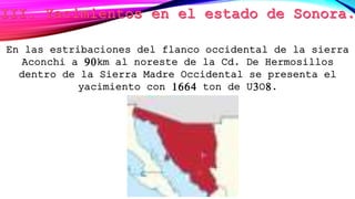 En las estribaciones del flanco occidental de la sierra
Aconchi a 90km al noreste de la Cd. De Hermosillos
dentro de la Sierra Madre Occidental se presenta el
yacimiento con 1664 ton de U3O8.
 