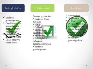 Aminoglucósidos
 Bacterias
gramnegativos
 Combinadas con
ampicilina son
eficaces contra
Enterococos
 Inhiben síntesis
de ADN y ARN
 Útiles para IVU
complicadas
Cefalosporina
Primera generación:
Bacterias Gram
positivas
E. Coli
Proteus
Klebsiellas
Segunda generación:
Anaerobios
Haemophilus
Influenzae
Tercera generación
Bacterias
gramnegativos
Penicilinas
 Enterococos
 Staphylococcus
 E. Coli
 Proteus Mirabilis
 Combinadas con
Inhibidores de ß-
Lactamasa son mas
efectivas contra
bacterias
gramnegativos
 