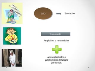 EGOEGO Leucocitos
Tratamiento
Ampicilina o vancomicina
Aminoglucósidos o
cefalosporina de tercera
generación.
 