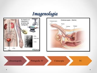ImagenologiaImagenologia
 
