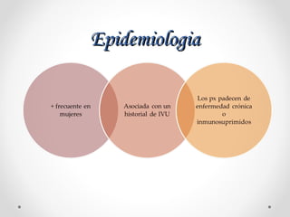 EpidemiologiaEpidemiologia
 